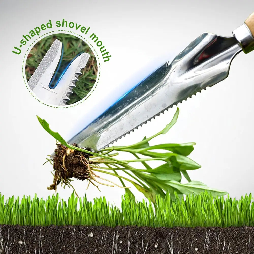 sharp tine weed remover
